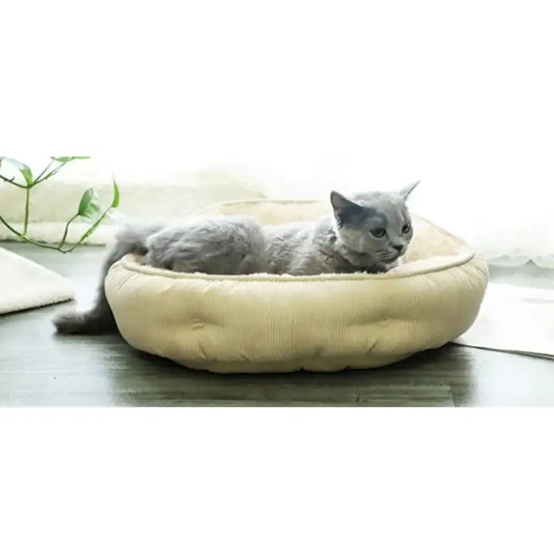 Yog!ssw - Cat Mustard Golden Cushion - Jungle Monster - Pet Cushion - Harumio