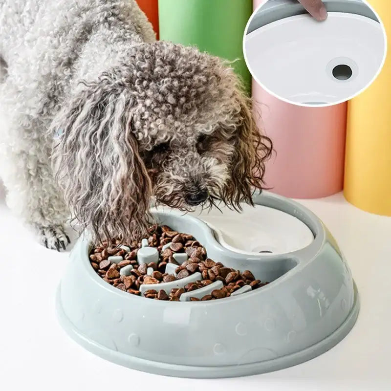 Yog!ssw - Pet Half-And-Half Bowl - Jungle Monster - Pet - Harumio