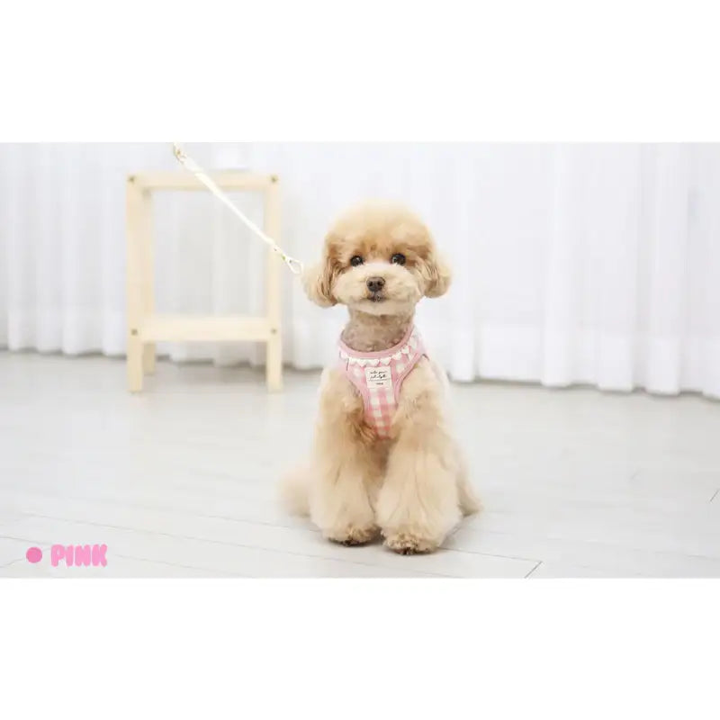ITSDOG - Pet Heart Checked Harness - ITSDOG - Pet Accesories - Harumio