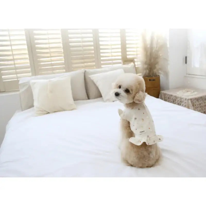 ITSDOG - Pet Organic Ruffle Quilted Vest - ITSDOG - Pet Clothes - Harumio
