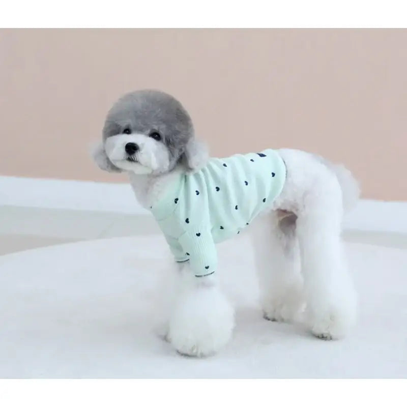 ITSDOG - Pet Heart T-Shirt - ITSDOG - Pet Clothes - Harumio