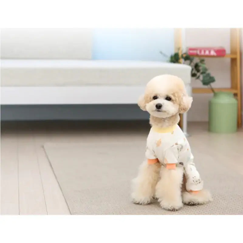 ITSDOG - Pet Organic Bebezoo All In One Pajamas - ITSDOG - Pet Clothes - Harumio