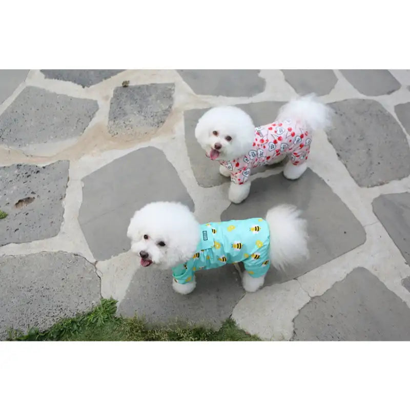 ITSDOG - Pet Pancho Raincoat - ITSDOG - Pet Clothes - Harumio
