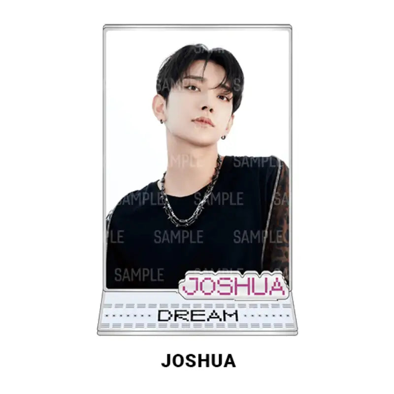 Seventeen - DREAM - Acrylic Photo Card Stand - SEVENTEEN - Acrylic Stand - Harumio