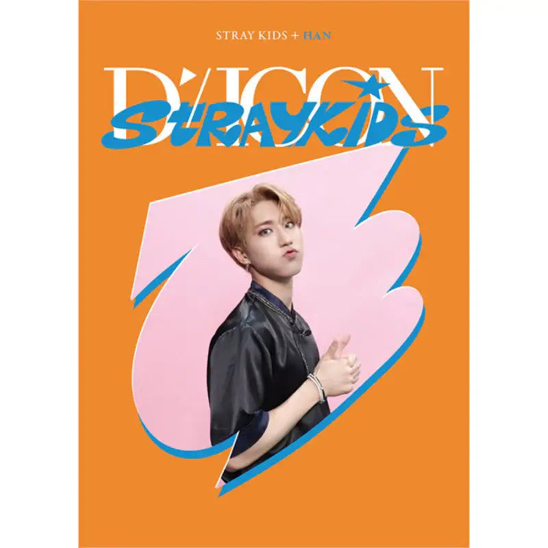 DICON - D’FESTA Mini Edition Stray Kids - Dicon - Magazines - Harumio