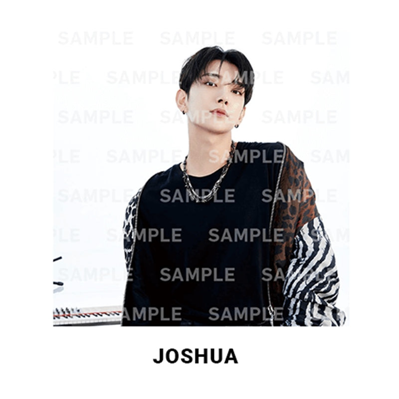 Seventeen - DREAM - Photo Canvas