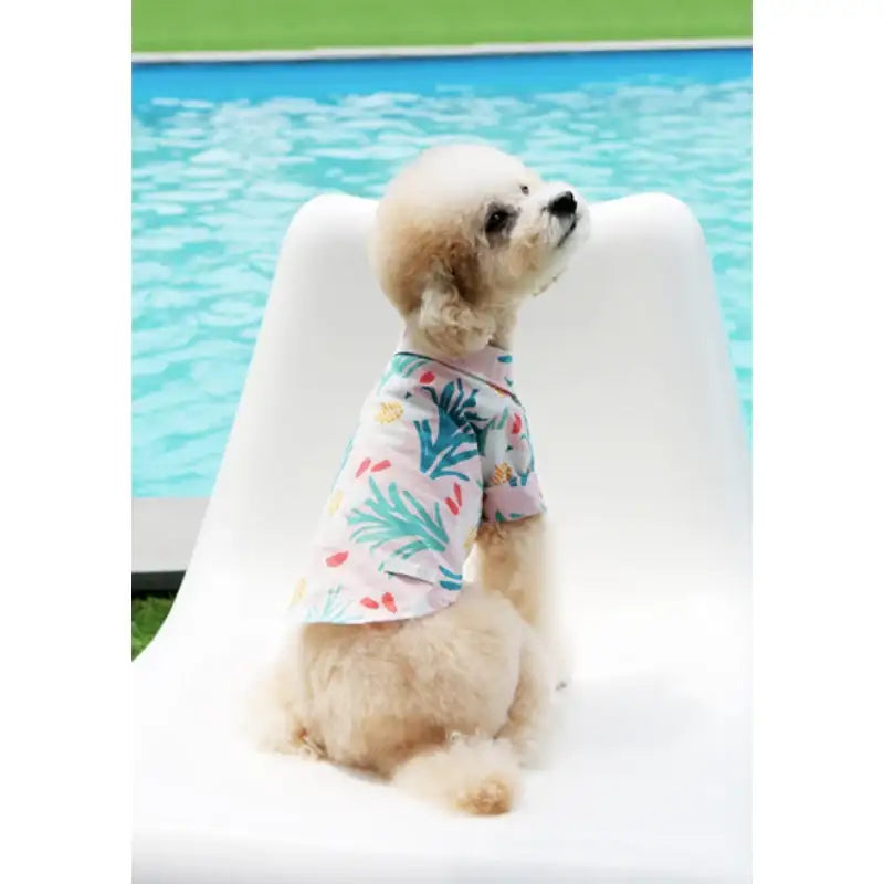 ITSDOG - Pet Sangria Shirt - ITSDOG - Pet Clothes - Harumio