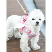 ITSDOG - Pet My Angel Vest Harness - ITSDOG - Pet Accesories - Harumio