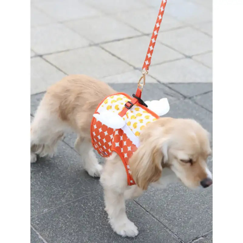 ITSDOG - Pet My Angel Vest Harness - ITSDOG - Pet Accesories - Harumio