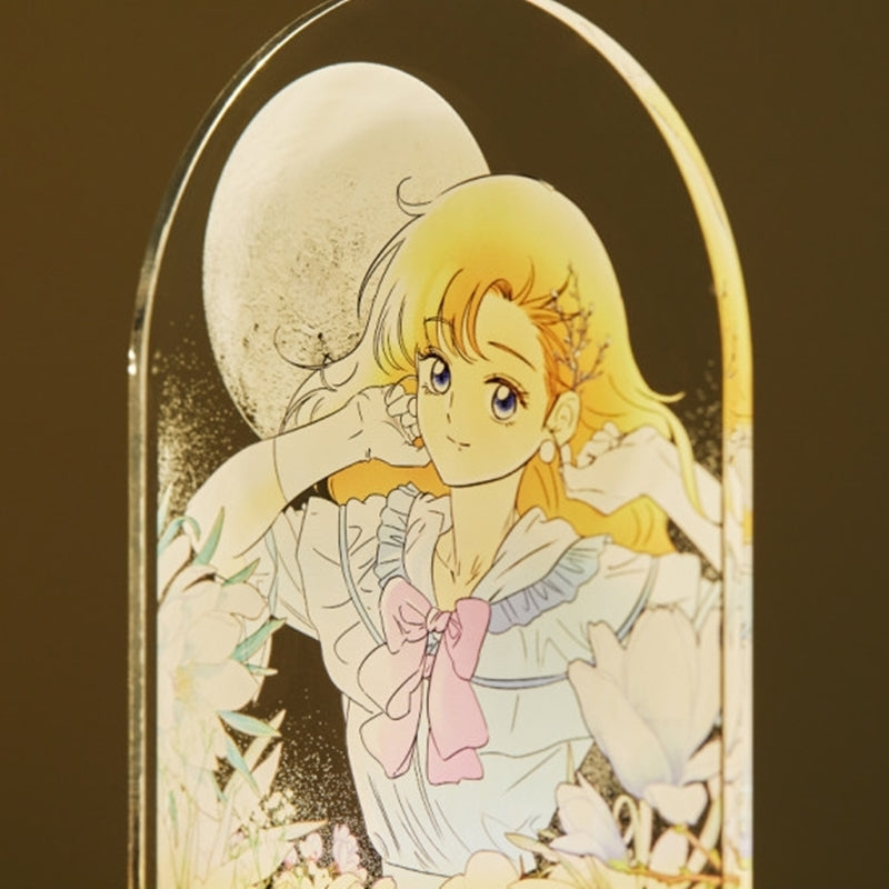 I Picked Up A Second Lead After The Ending - Acrylic Romance Mood Light
