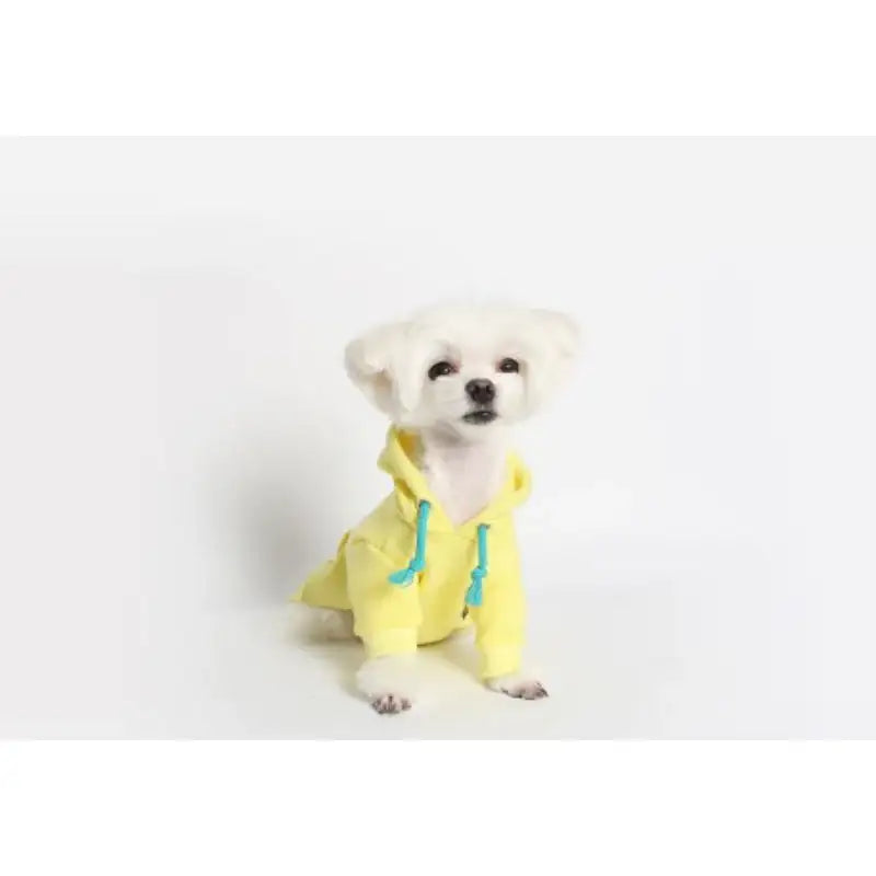 ITSDOG - Pet Macaroon Hoodie - ITSDOG - Pet Clothes - Harumio
