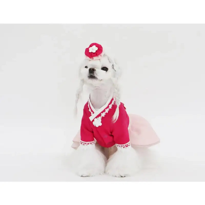 ITSDOG - Pet Princess Jini Hanbok - ITSDOG - Pet Clothes - Harumio