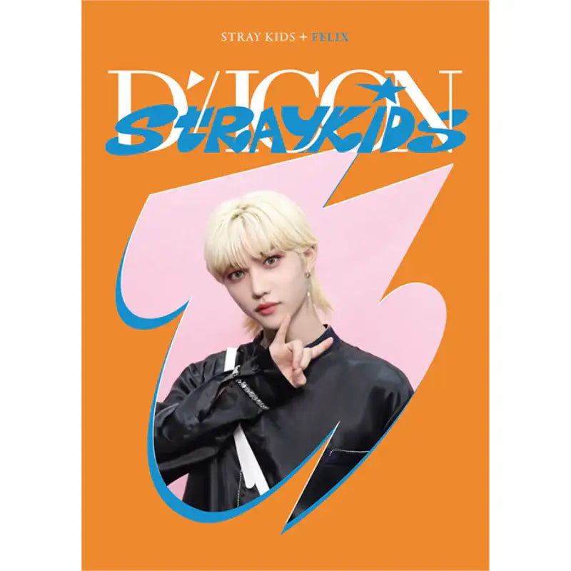 DICON - D’FESTA Mini Edition Stray Kids - Dicon - Magazines - Harumio