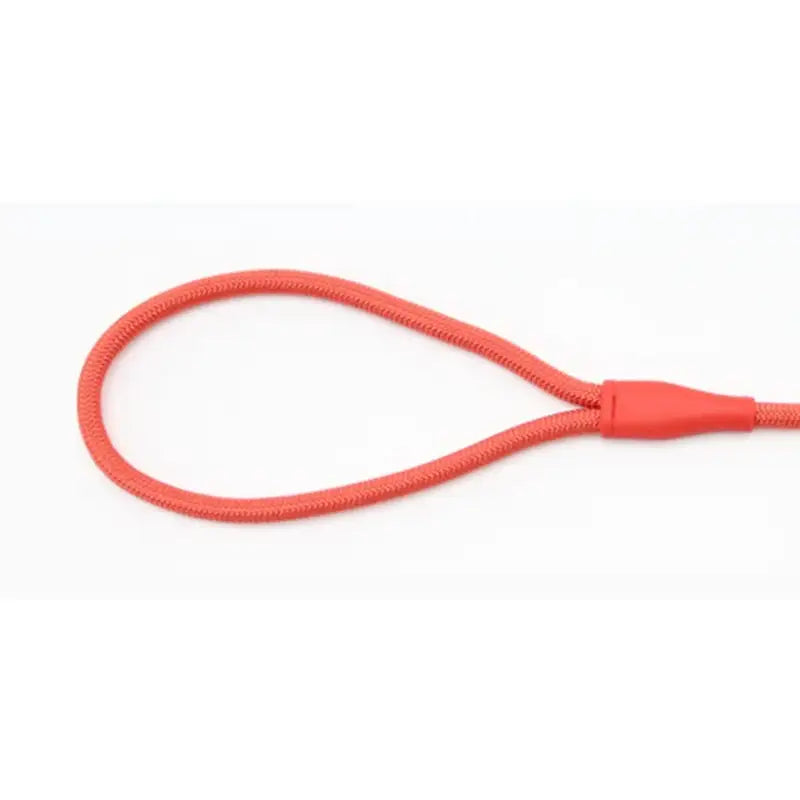 Yog!ssw - Dog P-shaped Safety Walking Leash - Jungle Monster - Pet - Harumio
