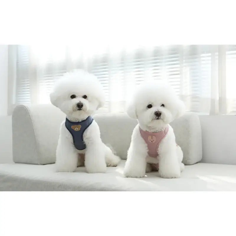 ITSDOG - Pet Harness - ITSDOG - Pet Accesories - Harumio