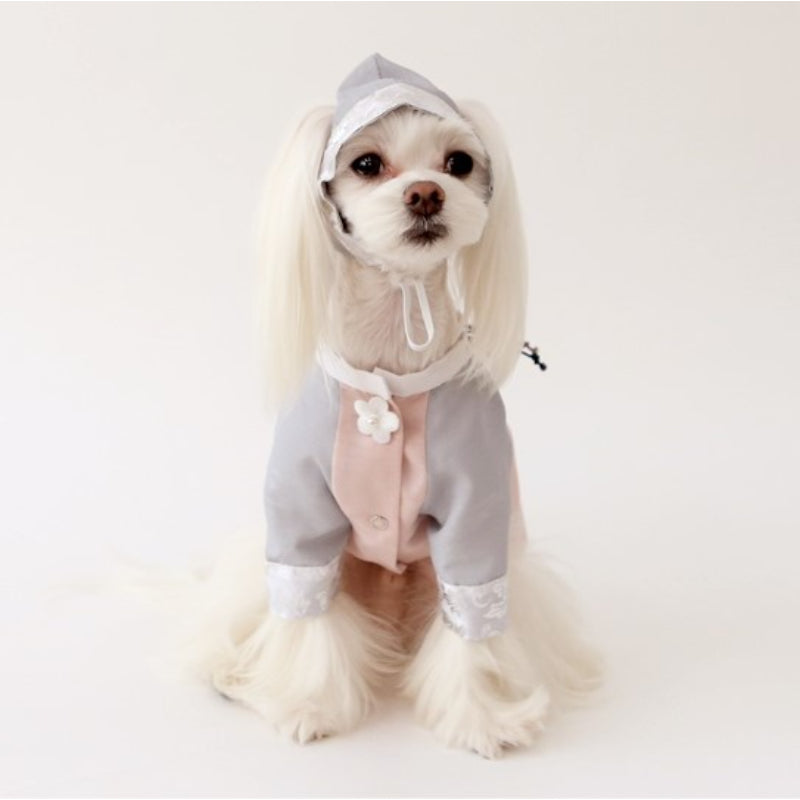 ITSDOG - Male Pet Elegant Hanbok