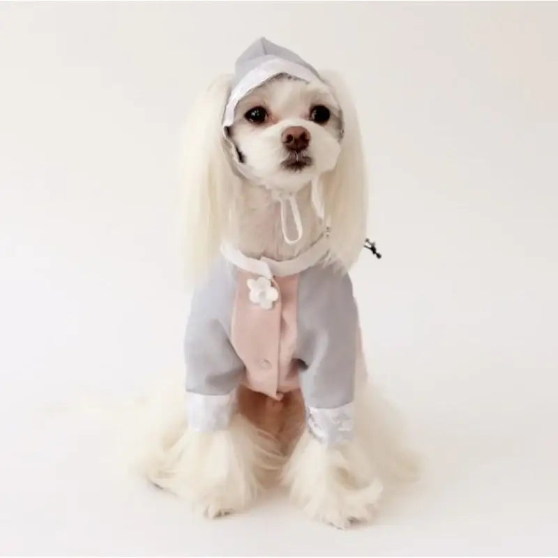 ITSDOG - Male Pet Elegant Hanbok - ITSDOG - Pet Clothes - Harumio