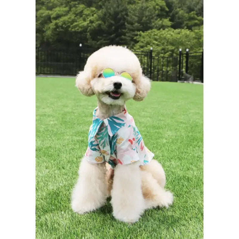 ITSDOG - Pet Sangria Shirt - ITSDOG - Pet Clothes - Harumio