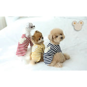 ITSDOG - Pet Star Bear T-Shirt - ITSDOG - Pet Clothes - Harumio