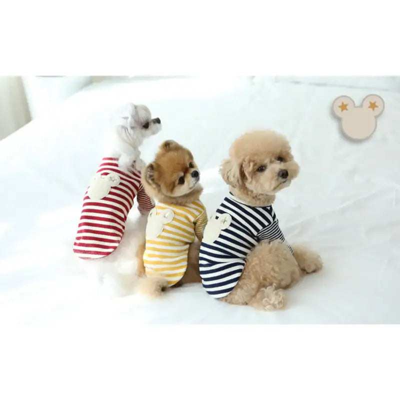 ITSDOG - Pet Star Bear T-Shirt - ITSDOG - Pet Clothes - Harumio