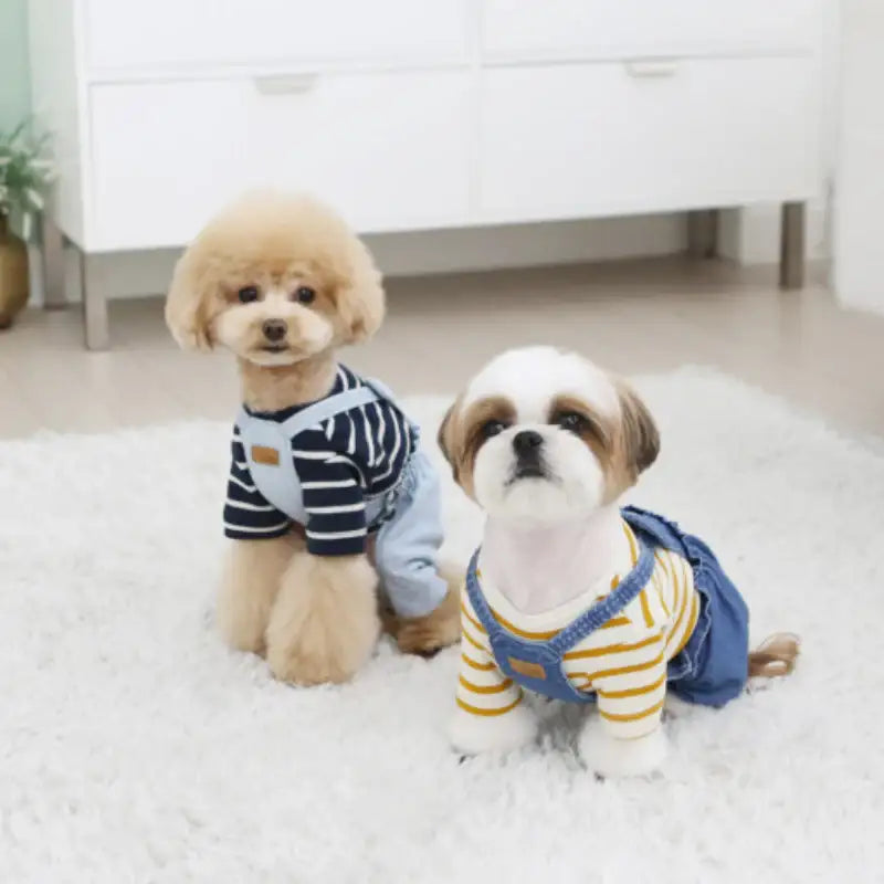 ITSDOG - Pet Denim Washing Pumpkin Pants - ITSDOG - Pet Clothes - Harumio