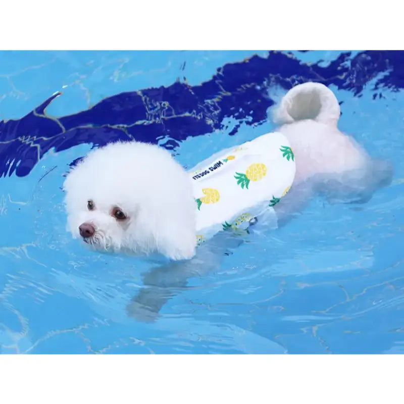 ITSDOG - Pet Life Jacket - ITSDOG - Pet Clothes - Harumio