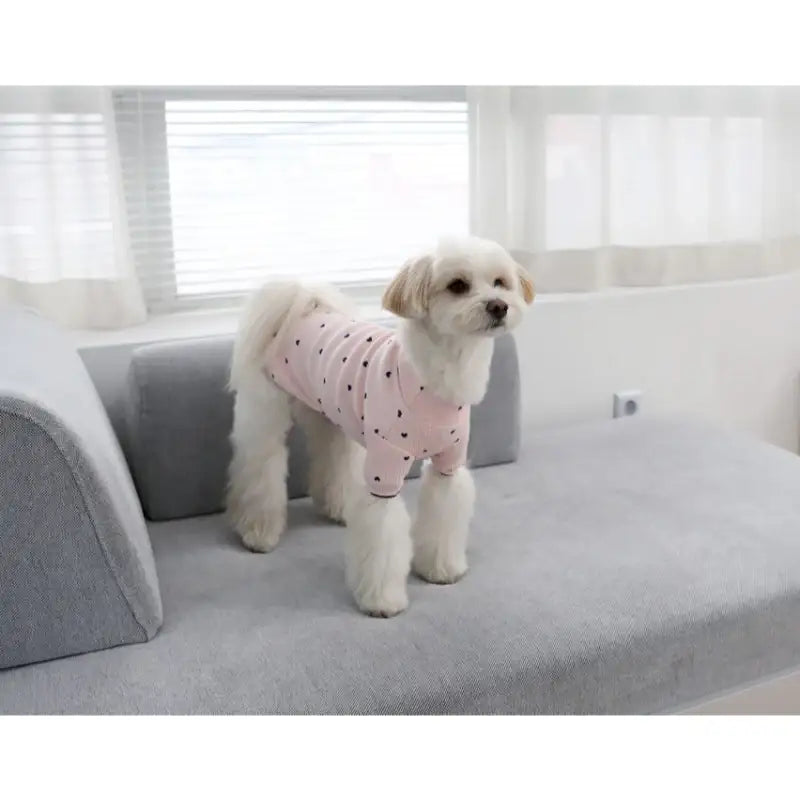 ITSDOG - Pet Heart T-Shirt - ITSDOG - Pet Clothes - Harumio