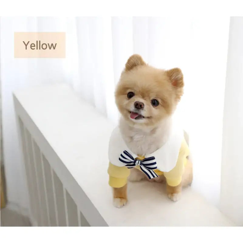 ITSDOG - Pet Yum Yum Egg T-Shirt - ITSDOG - Pet Clothes - Harumio