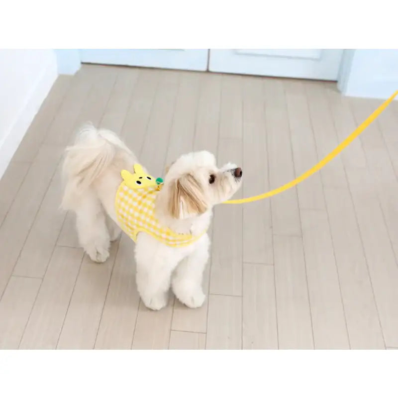 ITSDOG - Pet Jam Jam Peekaboo Harness - ITSDOG - Pet Accesories - Harumio
