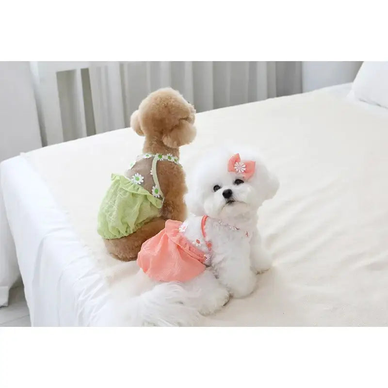 ITSDOG - Pet Daisy Balloon T-Shirt - ITSDOG - Pet Clothes - Harumio