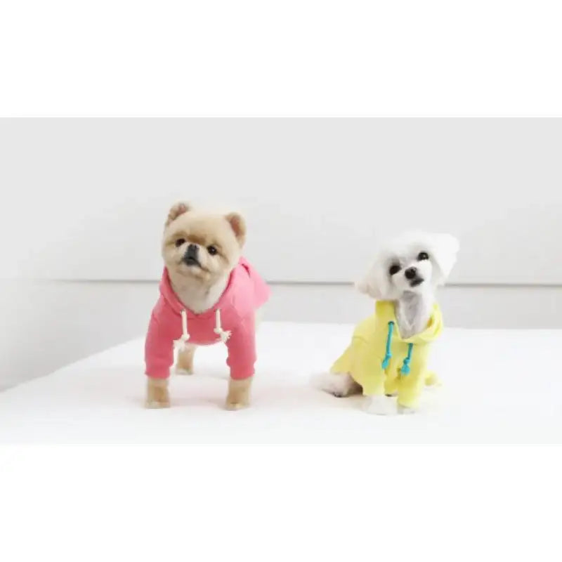 ITSDOG - Pet Macaroon Hoodie - ITSDOG - Pet Clothes - Harumio
