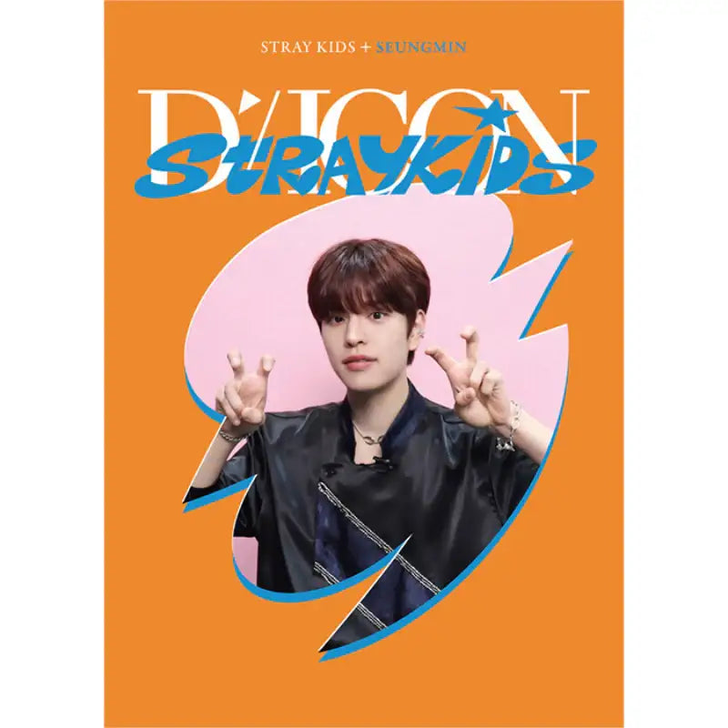 DICON - D’FESTA Mini Edition Stray Kids - Dicon - Magazines - Harumio