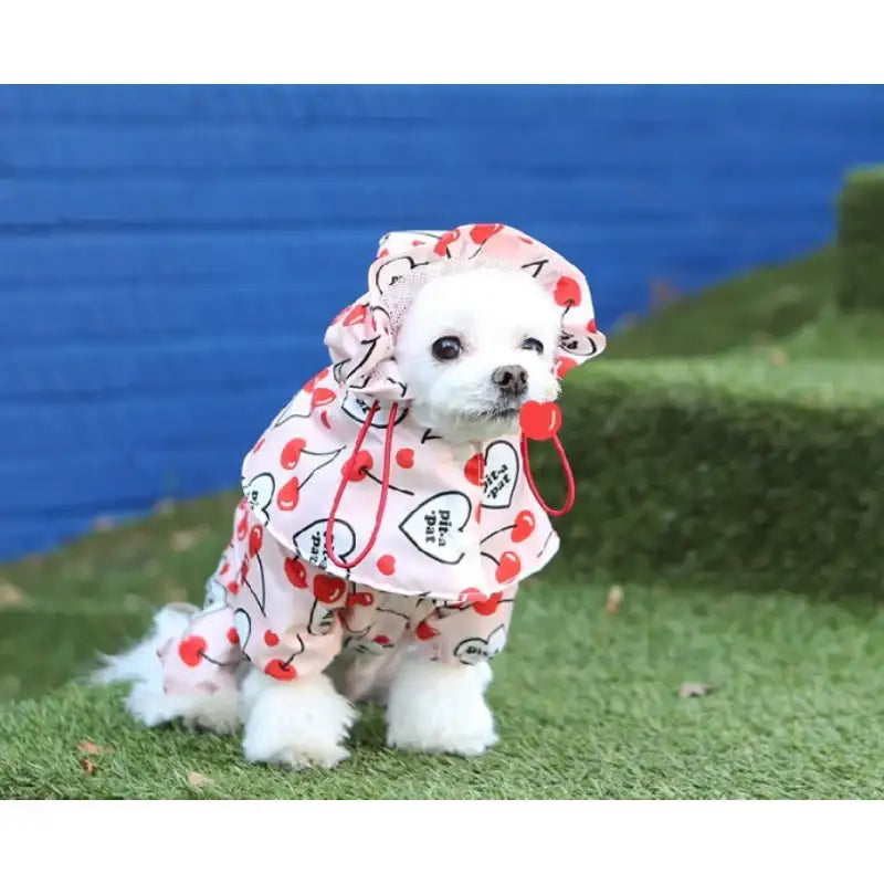 ITSDOG - Pet Pancho Raincoat - ITSDOG - Pet Clothes - Harumio