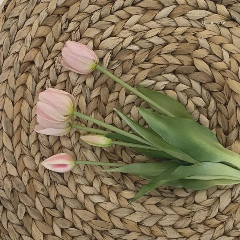 Like A Cafe - Silicon Tulip - Like A Cafe - Home & Living - Harumio