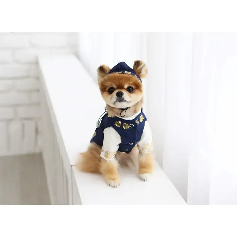 ITSDOG - Handmade Pet Prince Juwon Hanbok - ITSDOG - Pet Clothes - Harumio