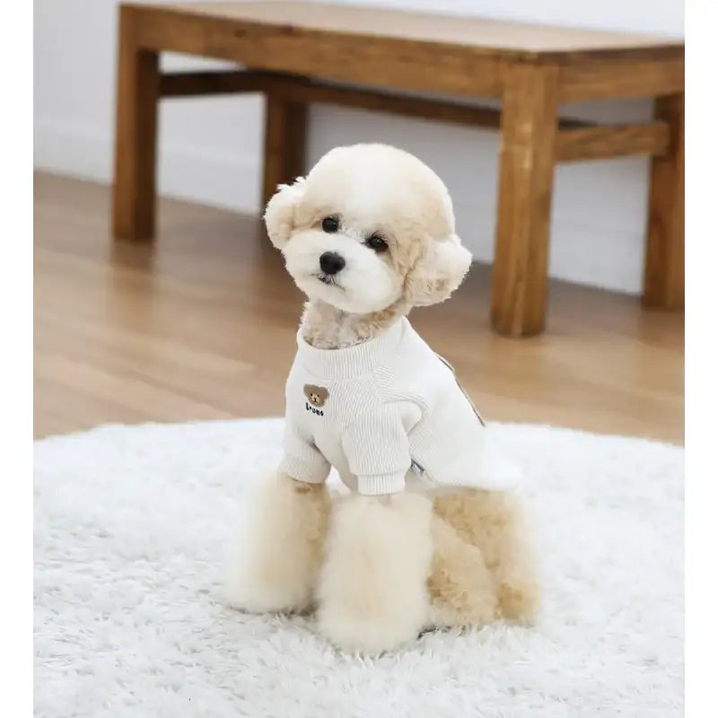 ITSDOG - Pet Bruno Knitted T-Shirt - ITSDOG - Pet Clothes - Harumio