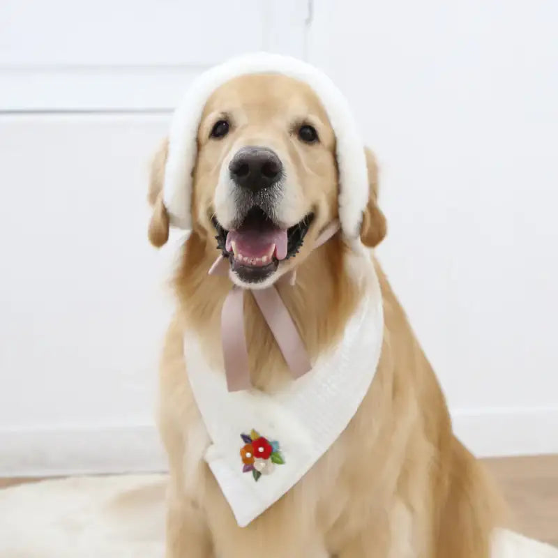 ITSDOG - Pet Narcissus Quilted Earmuffs - ITSDOG - Pet Accesories - Harumio