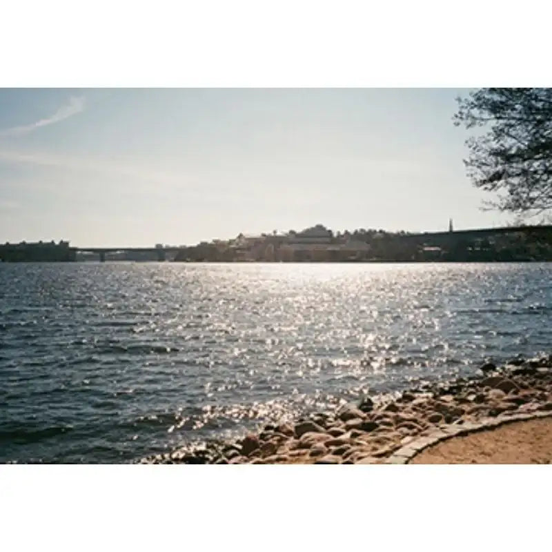 Stay With Us - European Postcard Series - Stay With Us - Postcard - Harumio