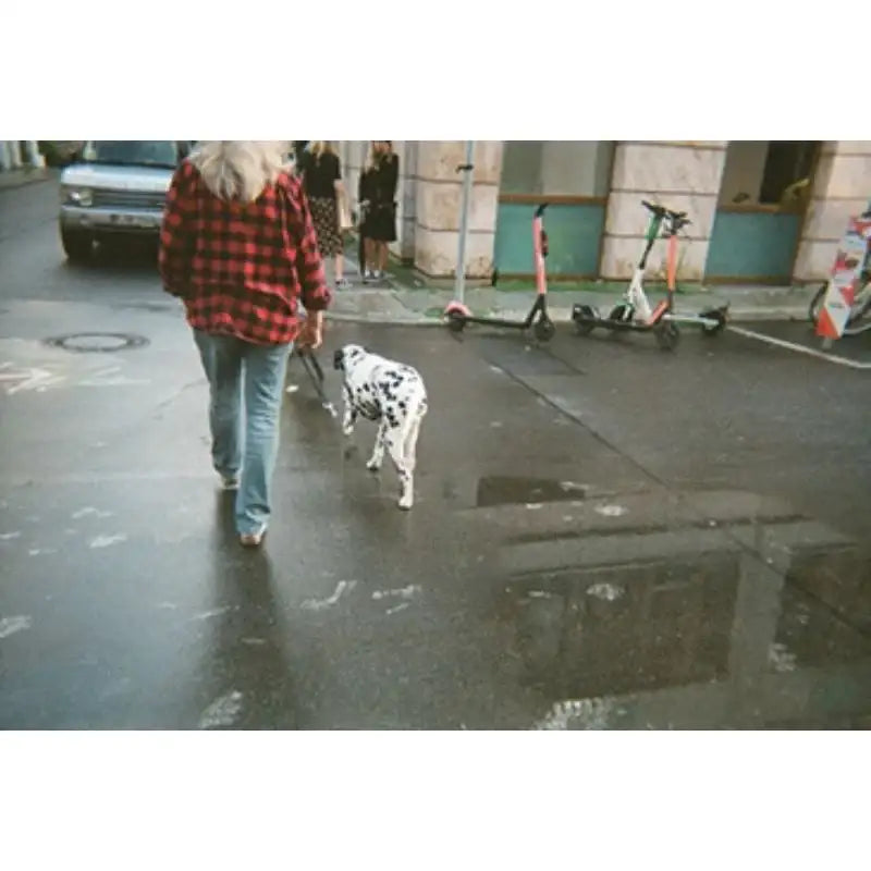 Stay With Us - European Postcard Series - Stay With Us - Postcard - Harumio