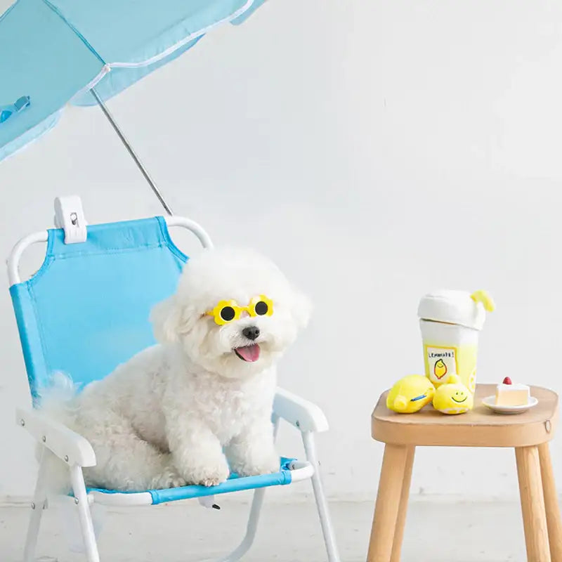 Bite Me - Lemonade Nosework Toy - Bite Me - Pet - Harumio