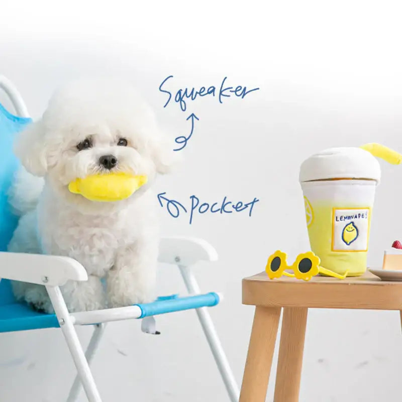 Bite Me - Lemonade Nosework Toy - Bite Me - Pet - Harumio