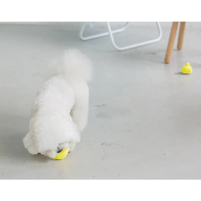 Bite Me - Lemonade Nosework Toy - Bite Me - Pet - Harumio