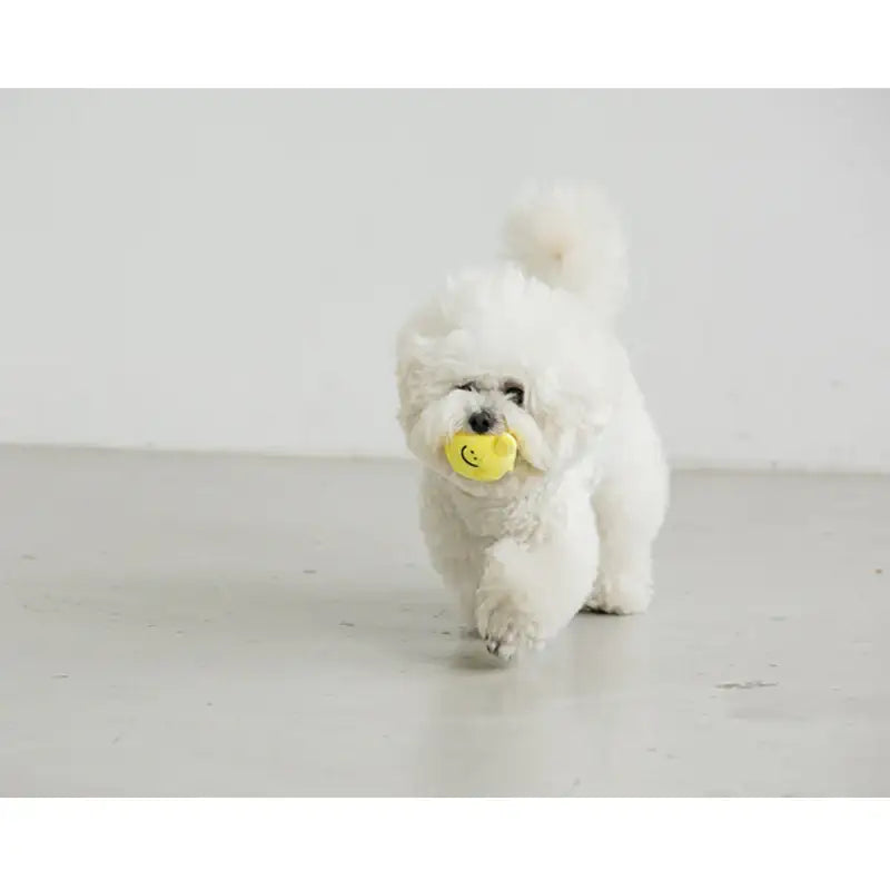 Bite Me - Lemonade Nosework Toy - Bite Me - Pet - Harumio