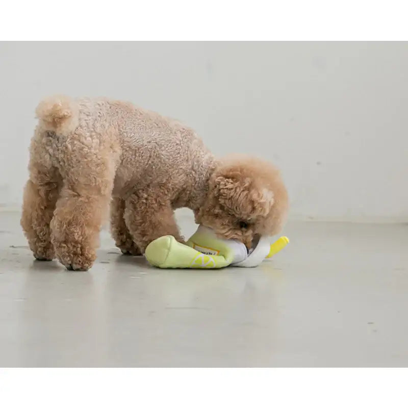 Bite Me - Lemonade Nosework Toy - Bite Me - Pet - Harumio