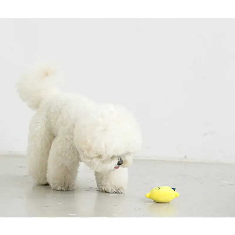 Bite Me - Lemonade Nosework Toy - Bite Me - Pet - Harumio