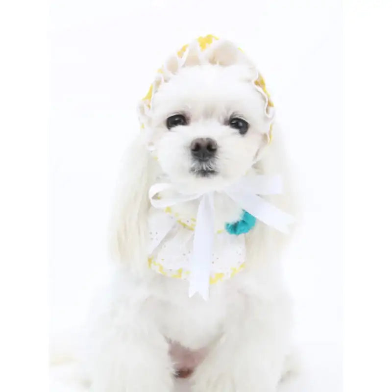 ITSDOG - Pet Blossom Bonnet - ITSDOG - Pet Accesories - Harumio