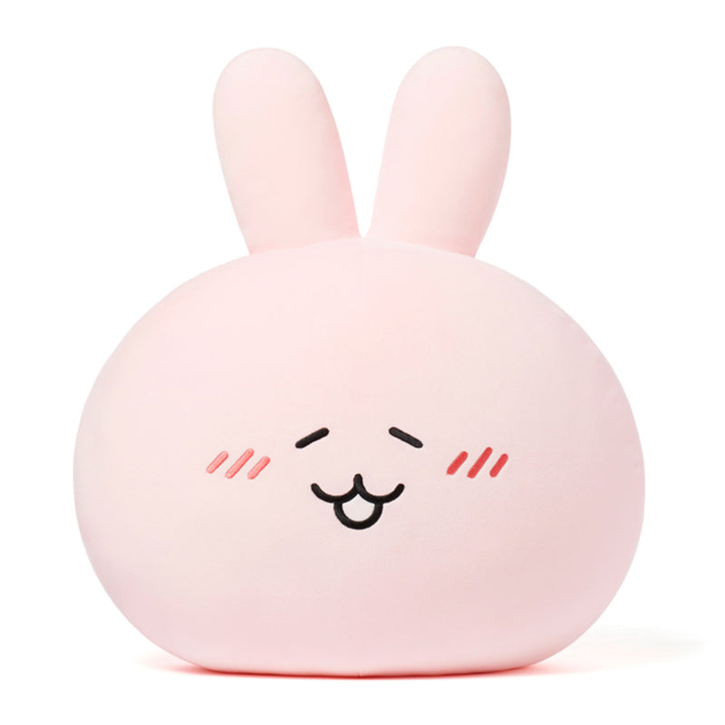 Kakao Friends - Scappy Face Cushion