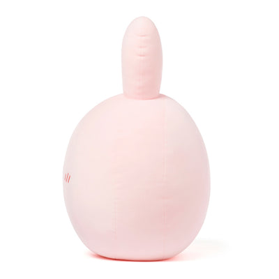 Kakao Friends - Scappy Face Cushion