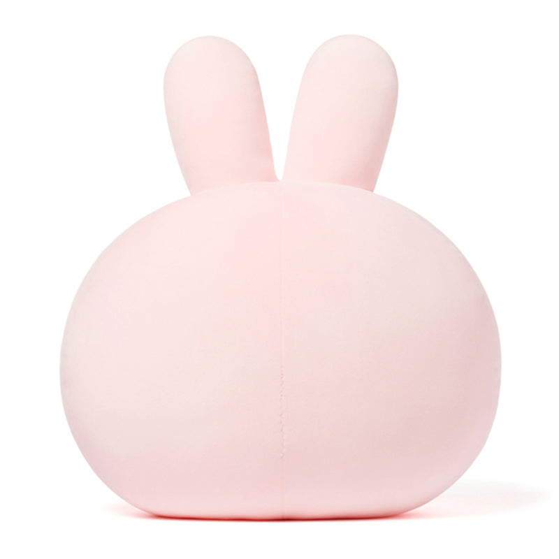 Kakao Friends - Scappy Face Cushion