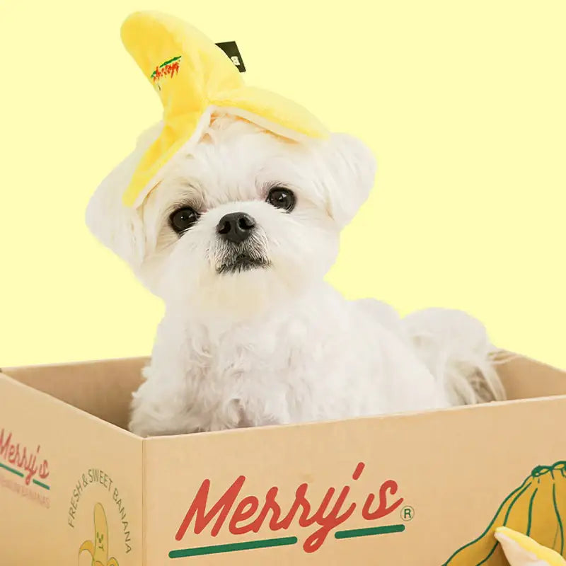 Bite Me - Banana Nosework Toy - Bite Me - Pet - Harumio